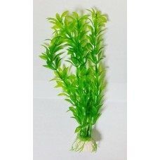 Растение аквариумное Pet-Impex 10011
